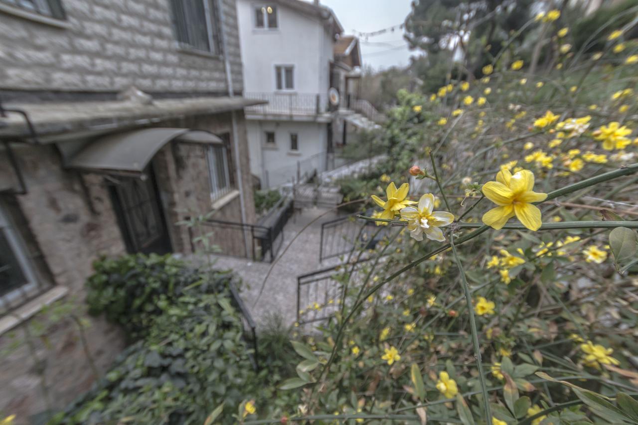 Bueyuekada Apart Hotel - Karadag Apart Adalar Exteriér fotografie
